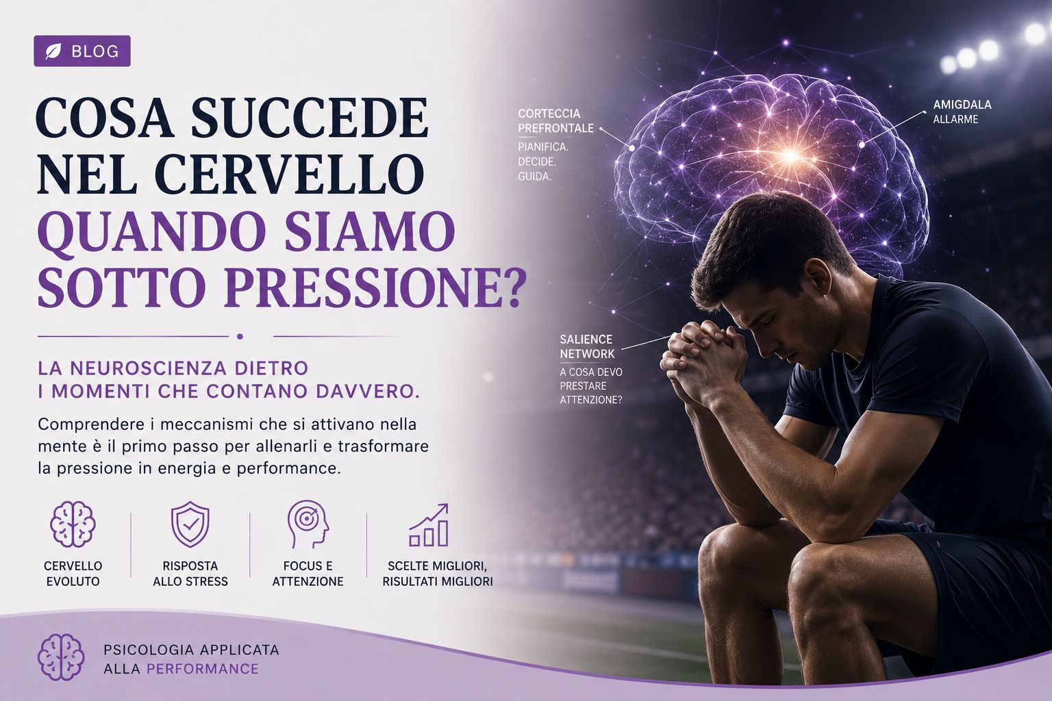 Cervello e neuroscienze
